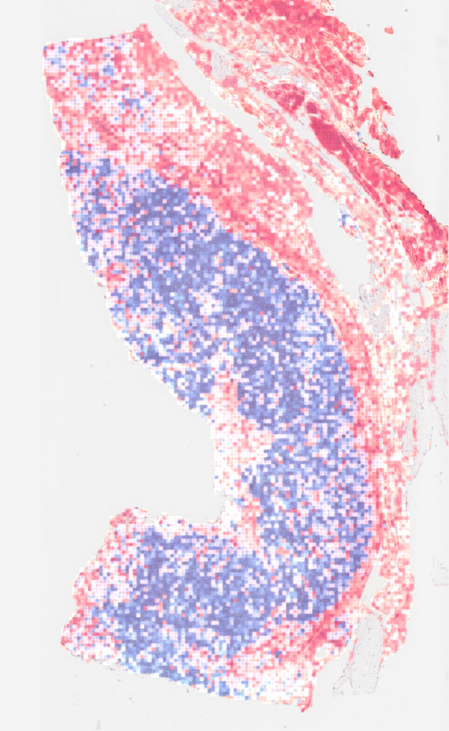 digital pathology algorithm visual